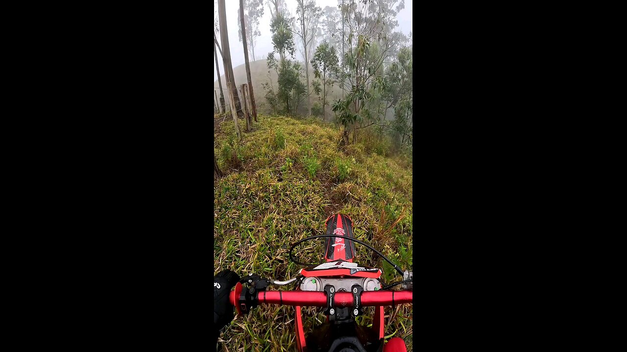 motorcycle trail with friends