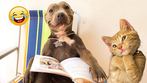 2025’s Funniest Dogs & Cats 😂 You Won’t Stop Laughing! | You Laugh You lose 😍😸😹 #Ep83