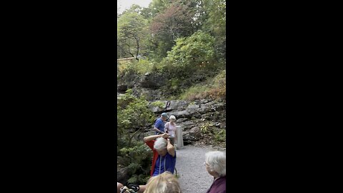 Fallingwater 5