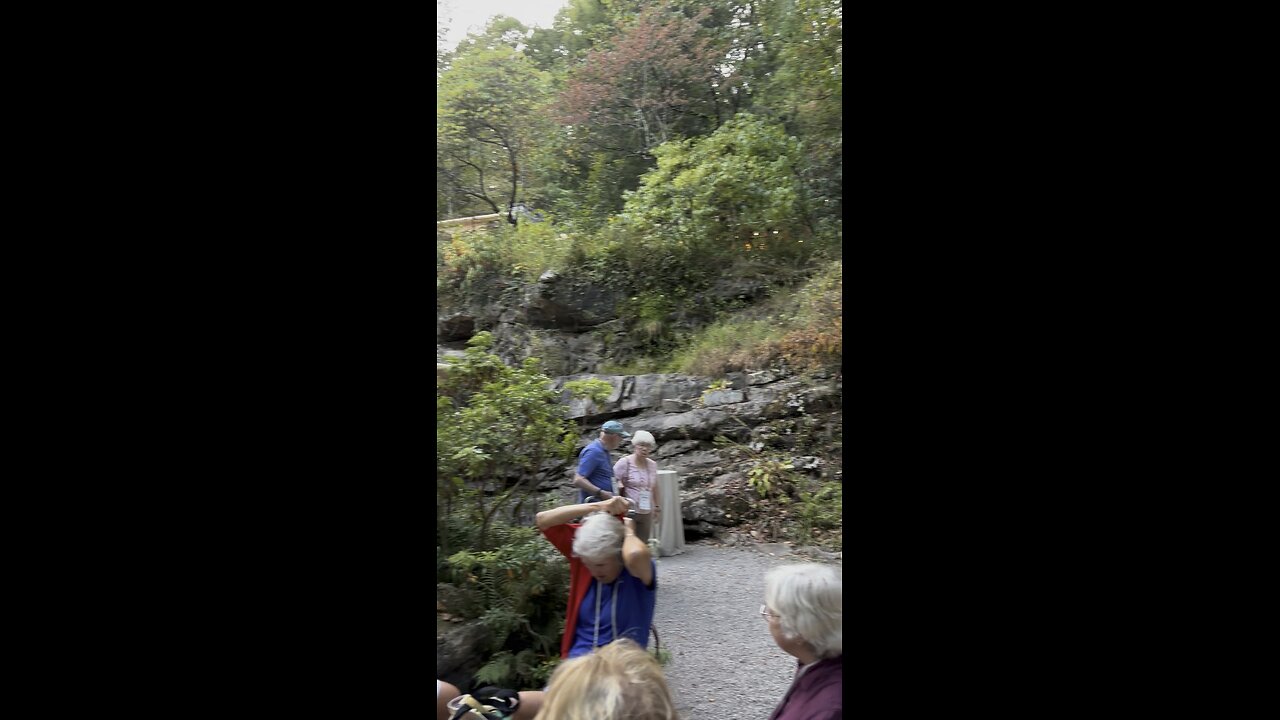 Fallingwater 5