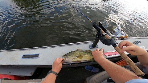 Walleye?