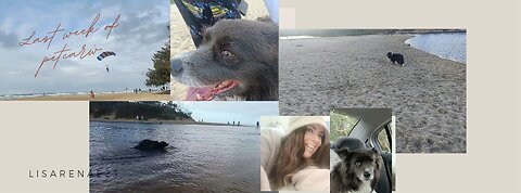 Last week of petcare 🐾🐕
