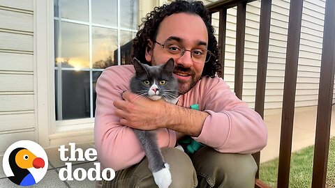 Guy Finds Soul Cat In His Parents' Backyard | The Dodo