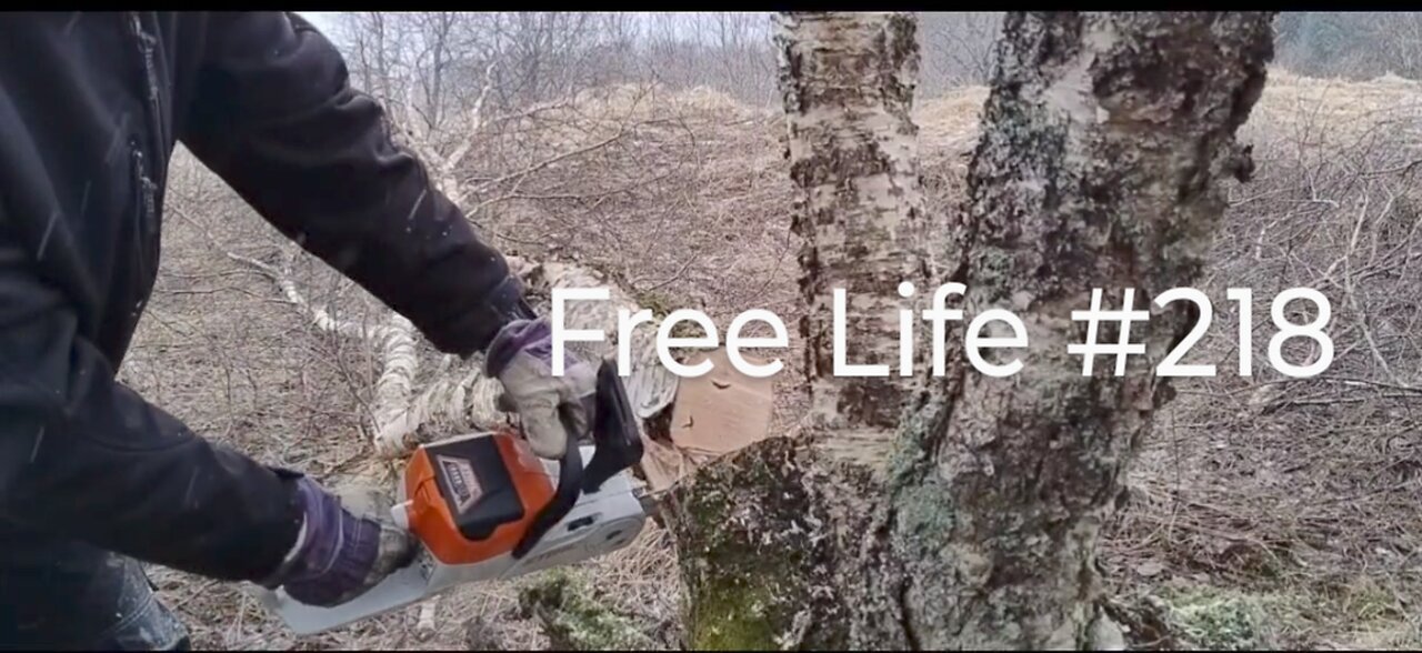 Free Life #218