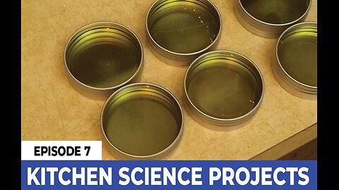 Wild Remedies & Kitchen Chemistry