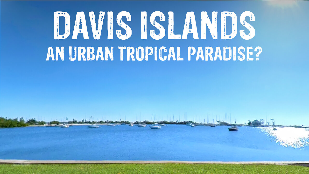 Escape to the SURPRISING GEM off the coast of this AMAZING CITY | DAVIS ISLANDS