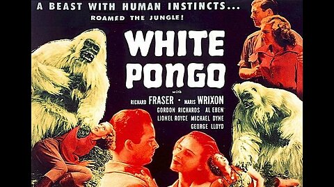 WHITE PONGO 1945 Scientists Hope to Find a Legenday Man-Killer Albino Gorilla FULL MOVIE 16mm Copy