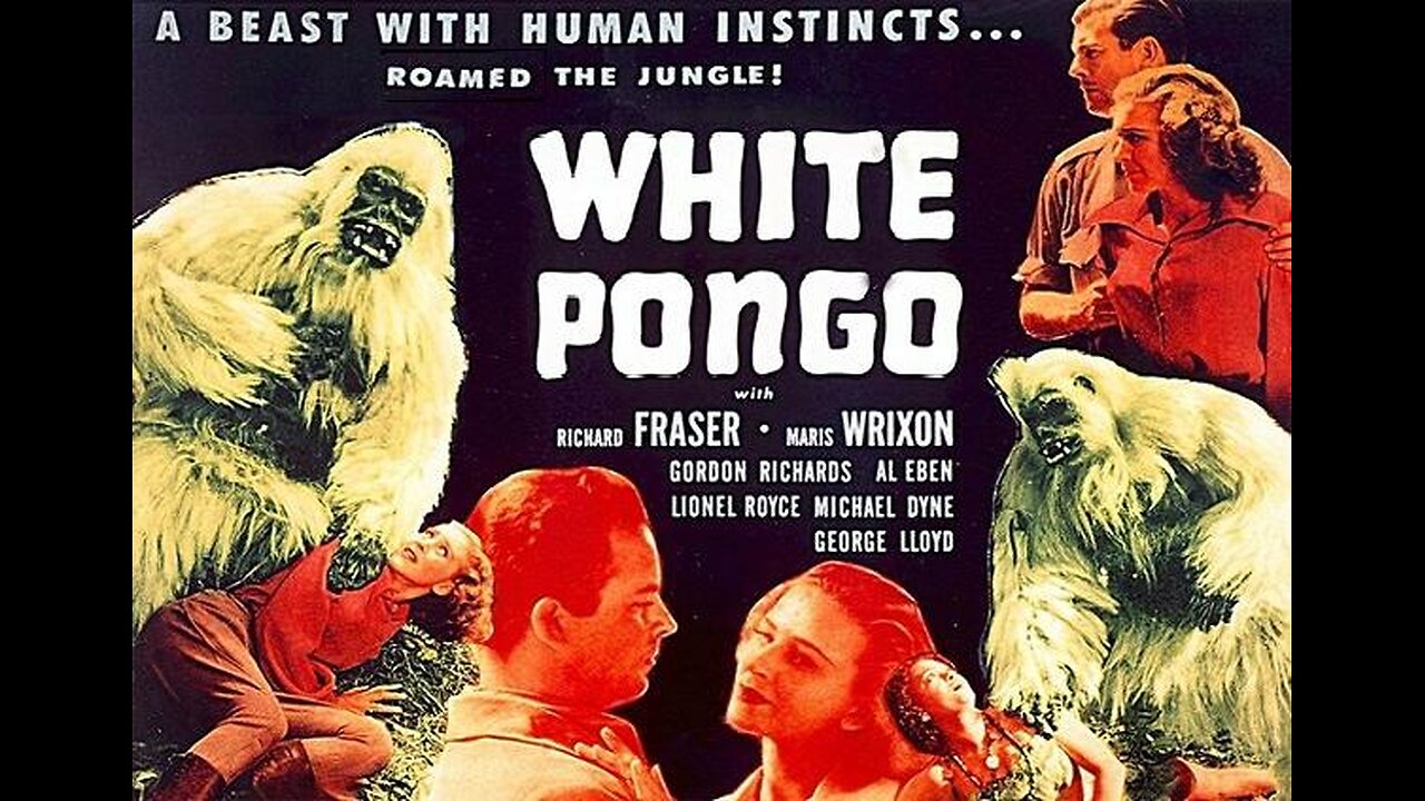 WHITE PONGO 1945 Scientists Hope to Find a Legenday Man-Killer Albino Gorilla FULL MOVIE 16mm Copy