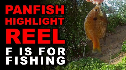 Panfish Highlight Reel
