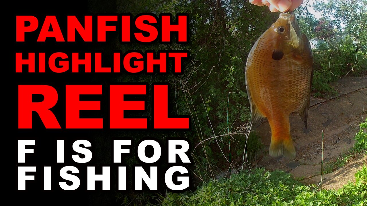 Panfish Highlight Reel