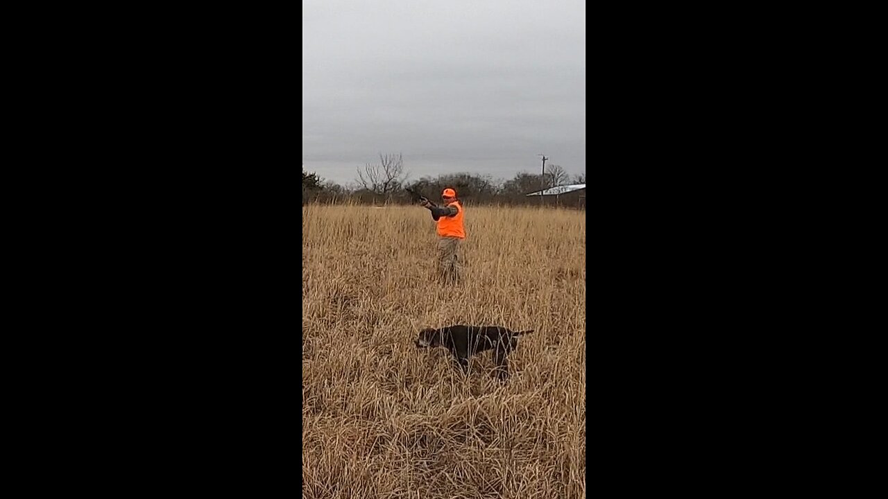 Teamwork