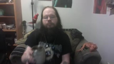 cobes live right after the drunk ended her stream