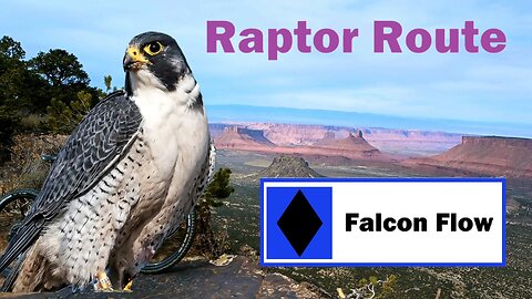 Falcon Flow - Raptor Route