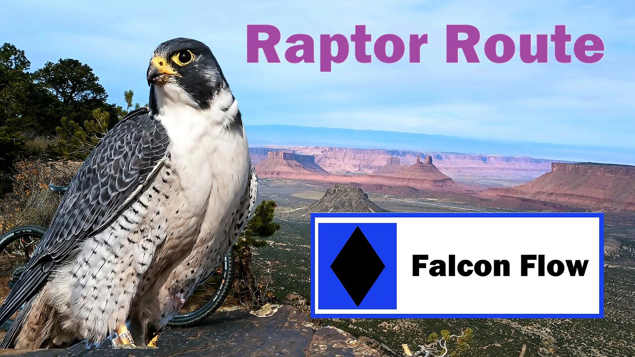 Falcon Flow - Raptor Route
