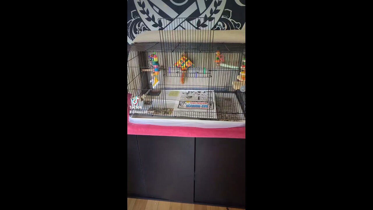 Parrot Tips