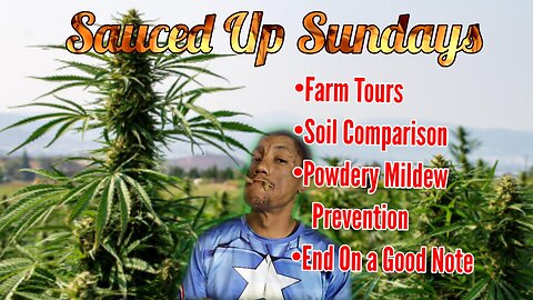 Sauced Up Sundays: #50
