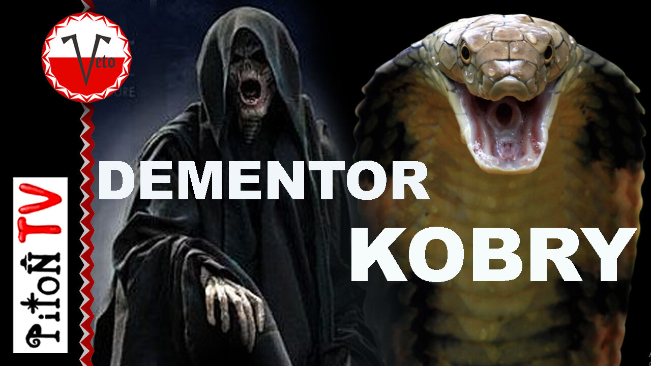 DEMENTOR KOBRY