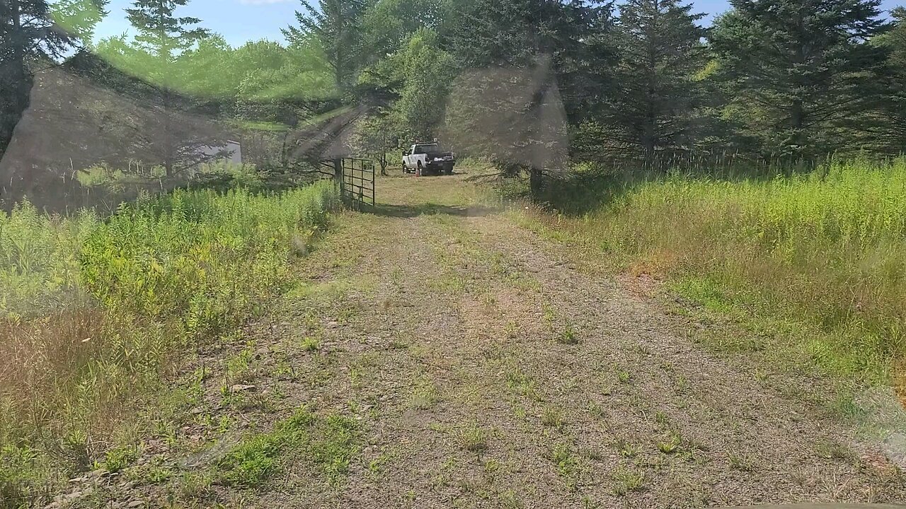 Brush hogged