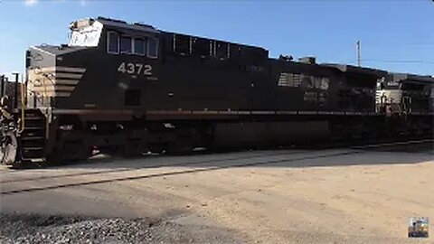 Norfolk Southern Trains from Front Royal, Virginia October 3, 2024 Part 4