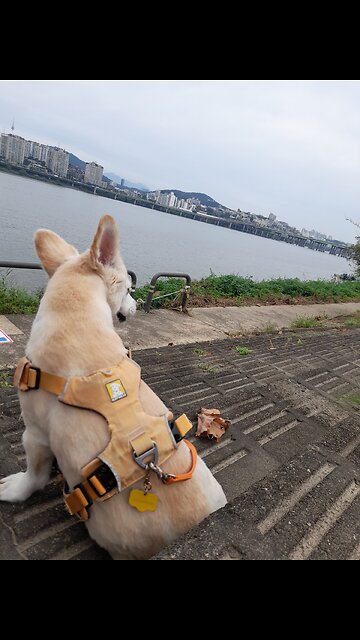 20250909. God Is Love.