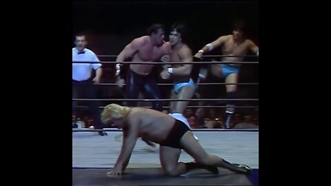 Brutus beefcake & Greg valentine-the dream team match