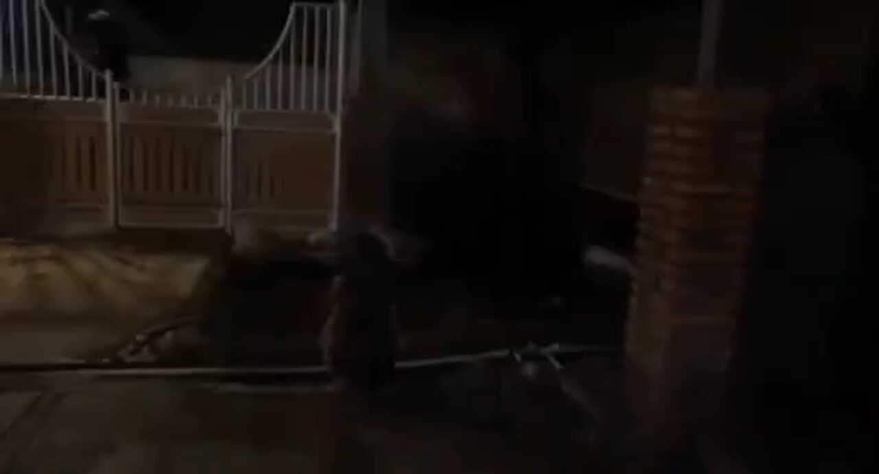 Could_this_be_a_real_Demon_in_the_shape_of_a_child_appeared_at_mans_gate__#creatorsearchinsights_#pa