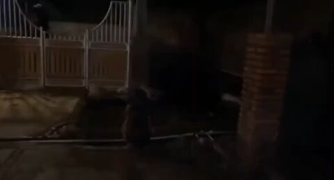 Could_this_be_a_real_Demon_in_the_shape_of_a_child_appeared_at_mans_gate__#creatorsearchinsights_#pa
