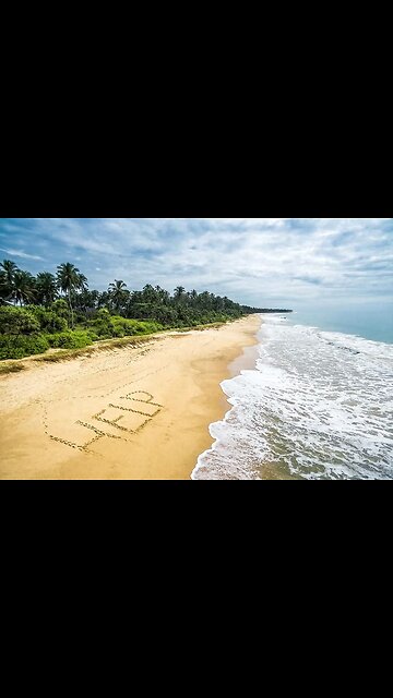 escape from Abduction Island