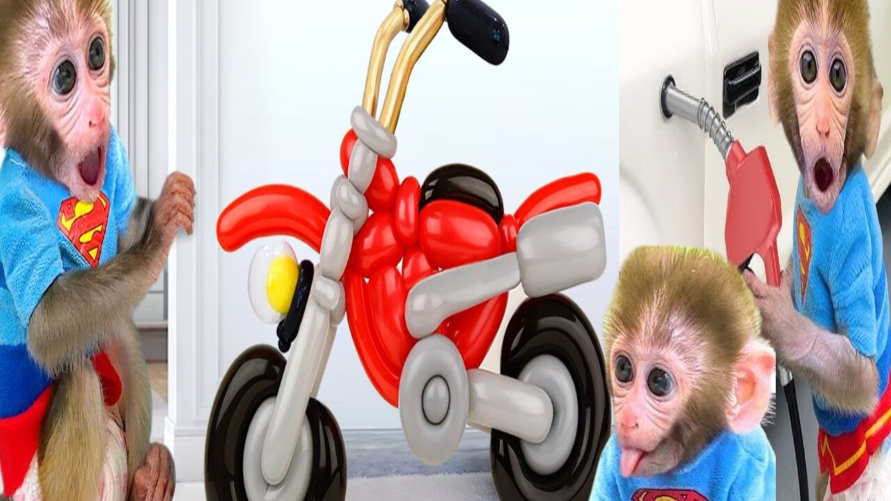 Bonmonkeykiki sander the police in costdy.|| animalht vedio in rumbel...