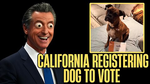 No ID, No Problem? Dog’s Vote Counted in California Election