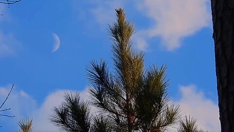 My Moon Cycle Understanding