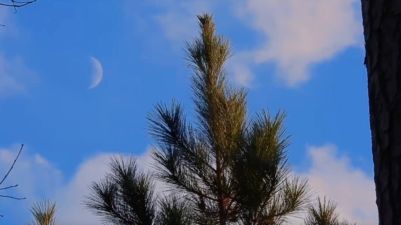 My Moon Cycle Understanding