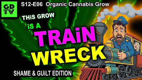 S12-E06 – Day 35 Of This Cannabis Grow – Train-Wreck – Too Much Water & Too Much Light