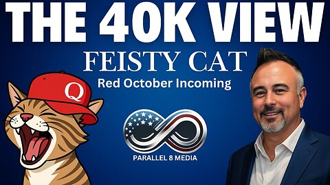 FEISTY CAT - The 40K View - Episode #42