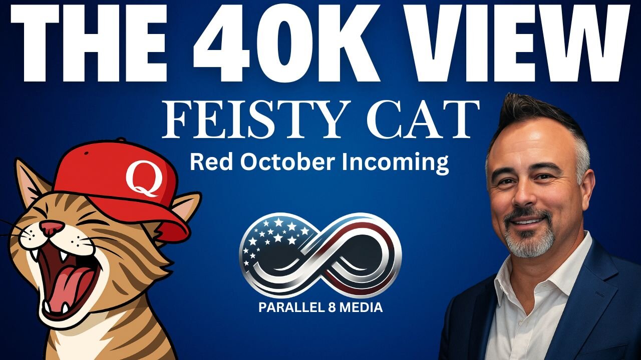 FEISTY CAT - The 40K View - Episode #42