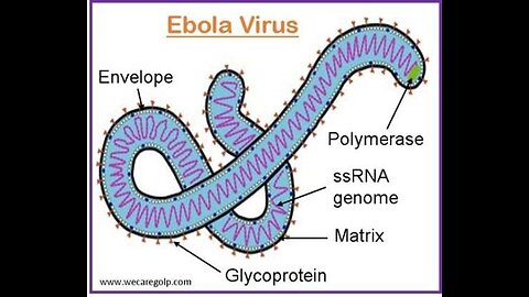 Ebola Hoax Warning‼️