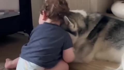 Woe Day 74. I am in the ark. Waiting for GOD to open the Door for a spring/summer Pentecost rapture