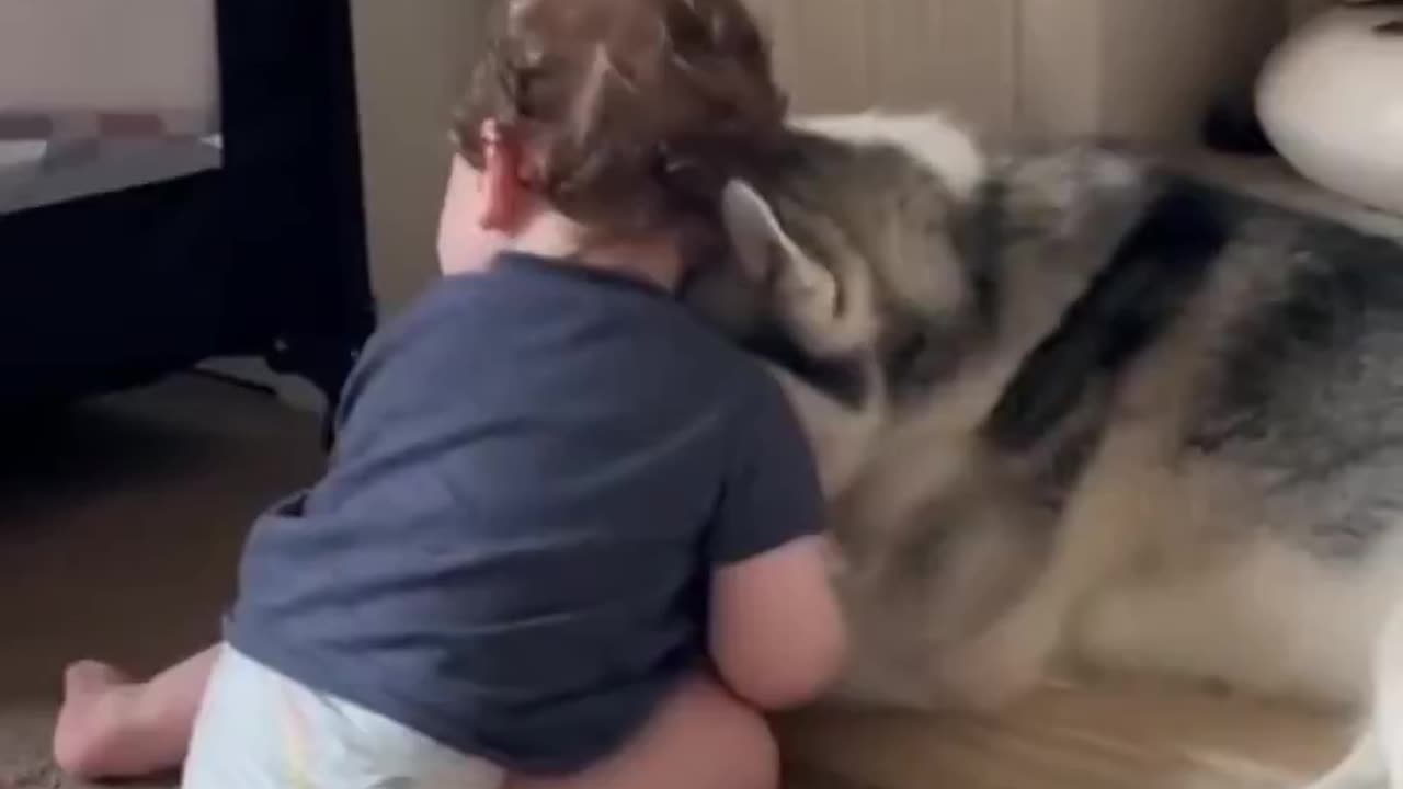 Woe Day 74. I am in the ark. Waiting for GOD to open the Door for a spring/summer Pentecost rapture