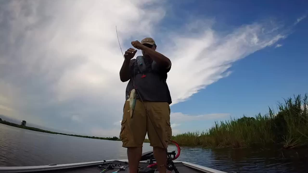 Pearl River, August, 2025