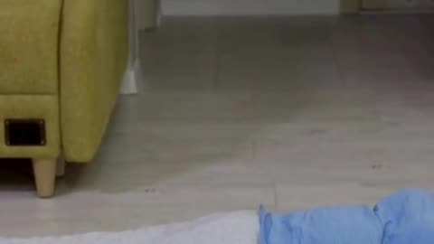 Sciatica Physiotherapy in Langley | Relieve Back & Leg Pain Naturally | Divine Care Physio