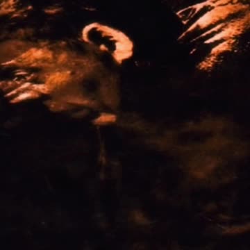 Lil Wayne - QUASIMODO (Edited) (First 1 Minute) (432 Hertz) (YouTube Shorts)