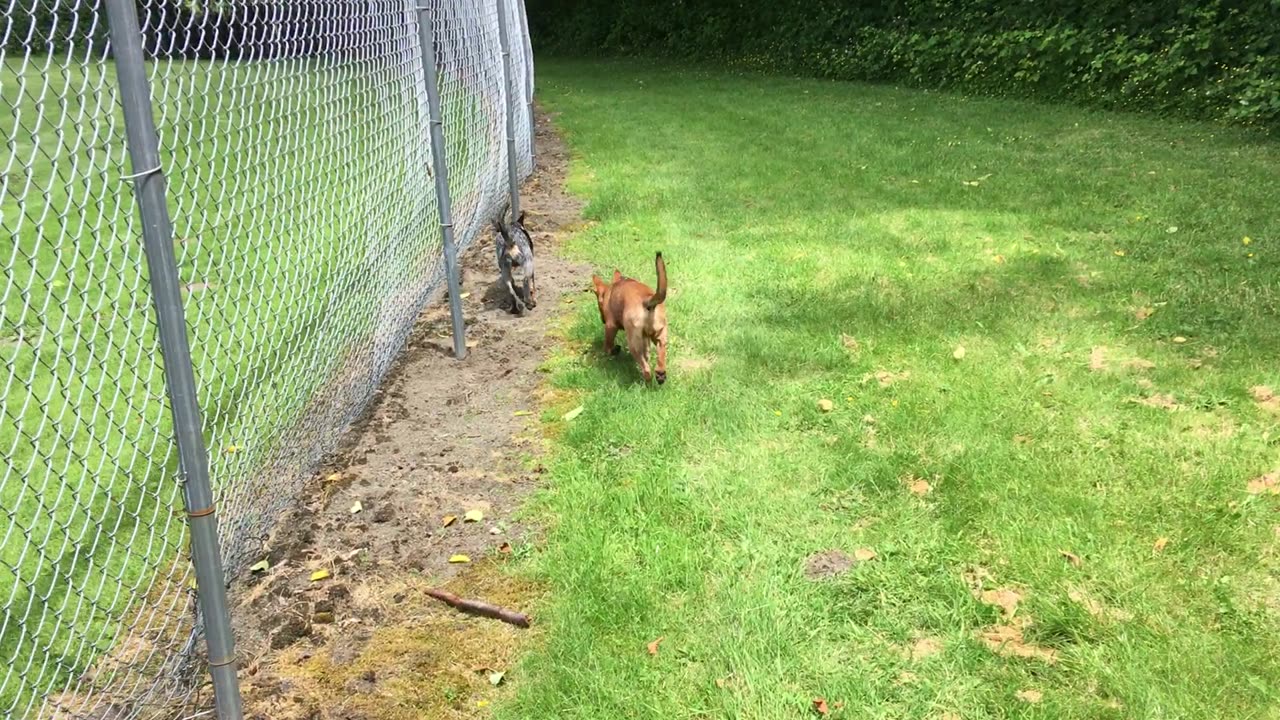 patrolling the park 9023908432