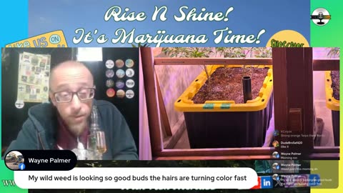 Rise ‘N Shine! It's Marijuana Time! Wake ‘N Bake Show Ep 305 September 11, 2025
