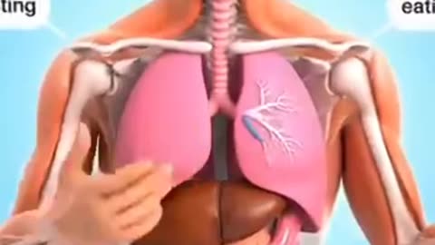 Skipping breakfast vs eating breakfast : which is better ?