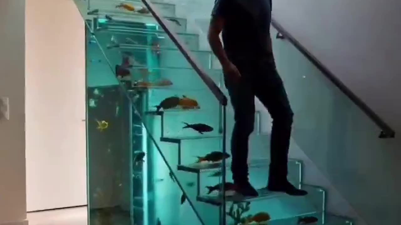 Aquarium Staircase