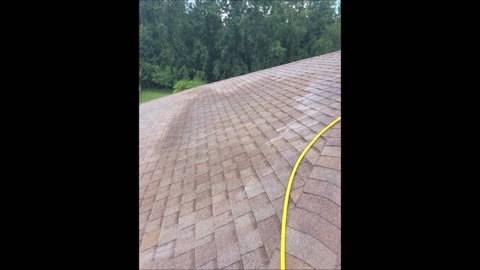 My Roof Cleaning LLC