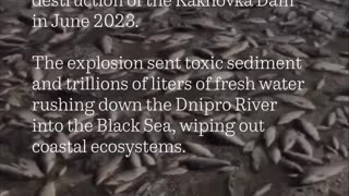 🌳🦌 Ukraine Russia War | War's Impact on Nature and Wildlife | RCF