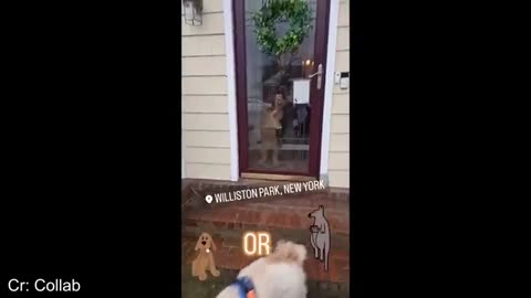 This Video Will Make You Laugh in 30 Seconds