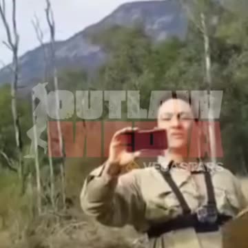 Desmond Dezi Bird Freeman