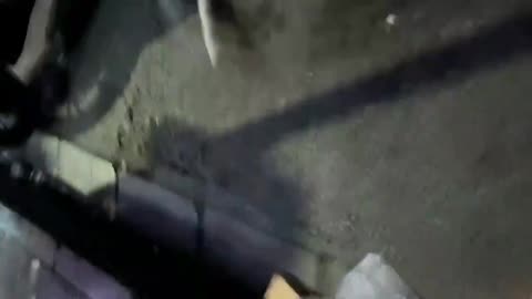 Video taken from Thursday, January 8 shows security forces opening fire on a protesting crowd